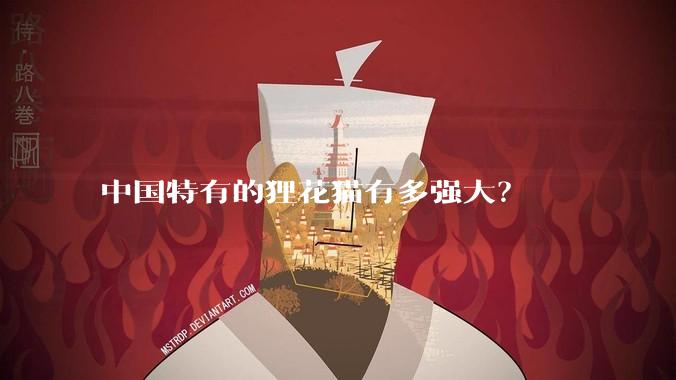 中国特有的狸花猫有多强大？