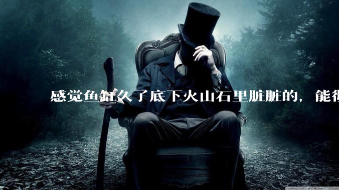 感觉鱼缸久了底下火山石里脏脏的，能彻底换水清理一遍不？