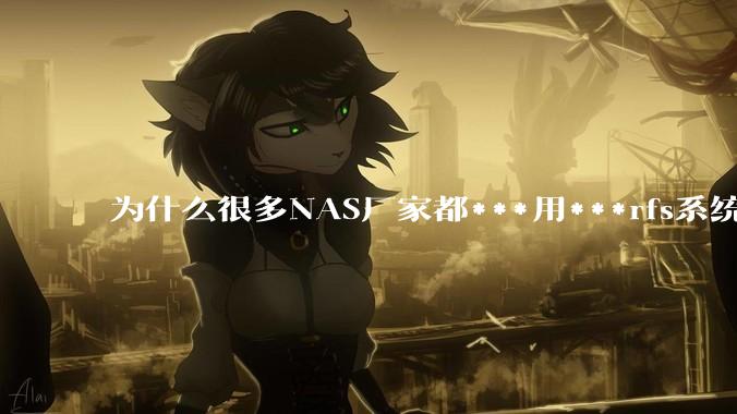 为什么很多NAS厂家都***用***rfs系统，而不是更稳定的zfs?