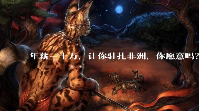年薪三十万，让你驻扎非洲，你愿意吗？