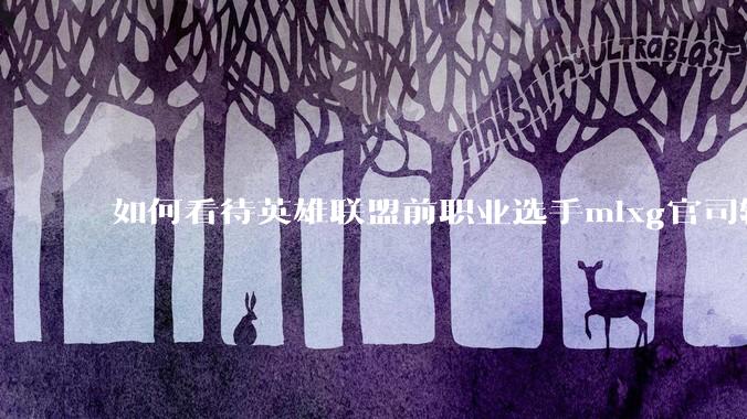 如何看待英雄联盟前职业选手mlxg官司输了，被强制执行2500w？