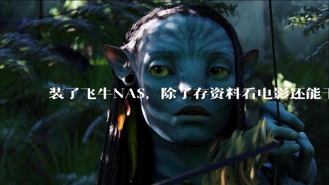 装了飞牛NAS，除了存资料看电影还能干什么？
